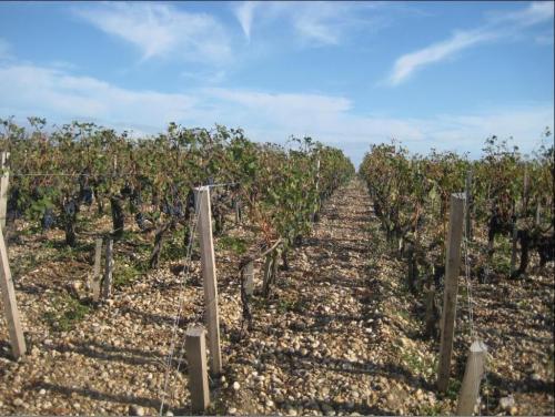 法国欧颂庄是圣达美隆两大超级名庄之一，与白马庄齐名，名列于葡萄酒行家常称的波尔多八大之一