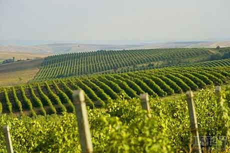 品酒师培训教材--保加利亚葡萄酒产区详解