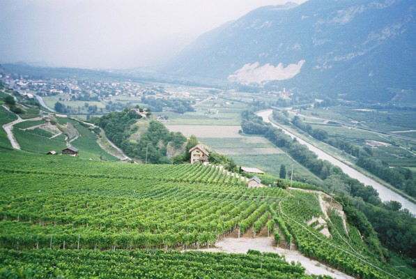 法国罗纳河谷（隆河）葡萄酒产区详解