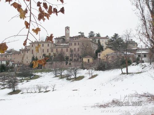 意大利内华城堡Castello Di Neive-传统与创新并重的巴巴拉斯高名庄