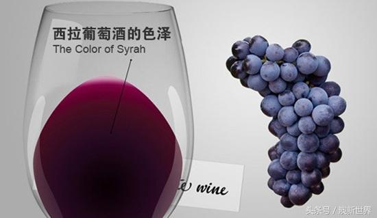 葡萄酒与分类--什么是葡萄酒？