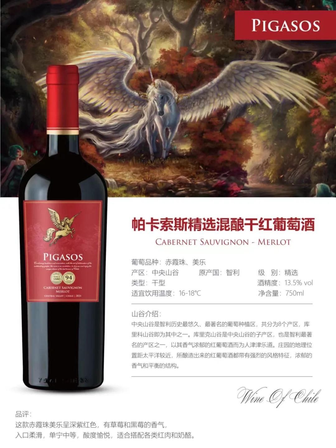 智利中央山谷PIGASOS飞马酒庄-精选梅洛、赤霞珠干红葡萄酒，现货进口库存在厦门海沧·屿保税区，等你来搬！