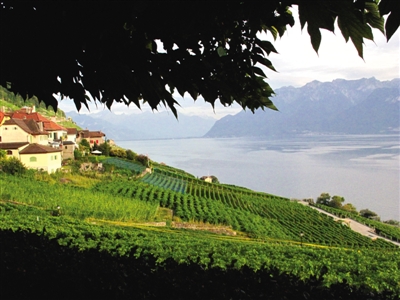 品酒师培训教材--瑞士葡萄酒产区详解 