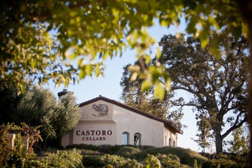 典型的美国新生代酒庄海狸庄园Castoro Cellars