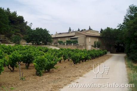 法国稀雅丝Chateau Rayas.jpg