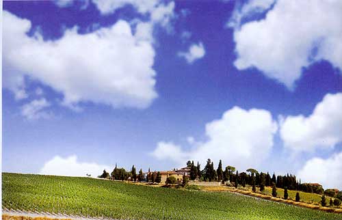 奇雅酒园是梦迪区（Montalcino）.jpg